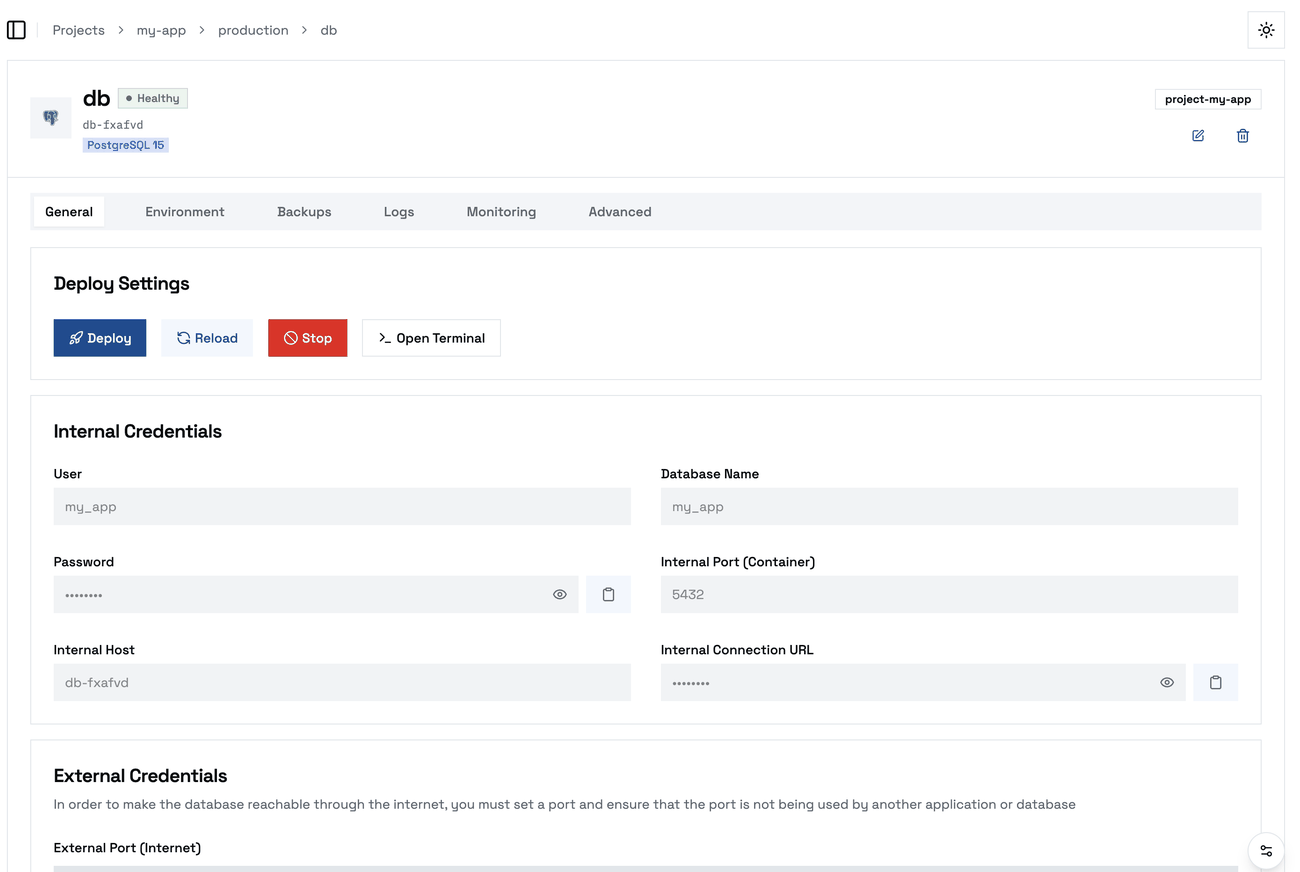 A PostgreSQL database’s General tab: its internal credentials, with the password and connection URL hidden until revealed